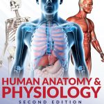 Human Anatomy & Physiology – 2nd Edition