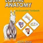 Equine Anatomy: An Essential Textbook