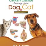 Clinically Oriented Anatomy of the Dog and Cat - 3rd Edition
