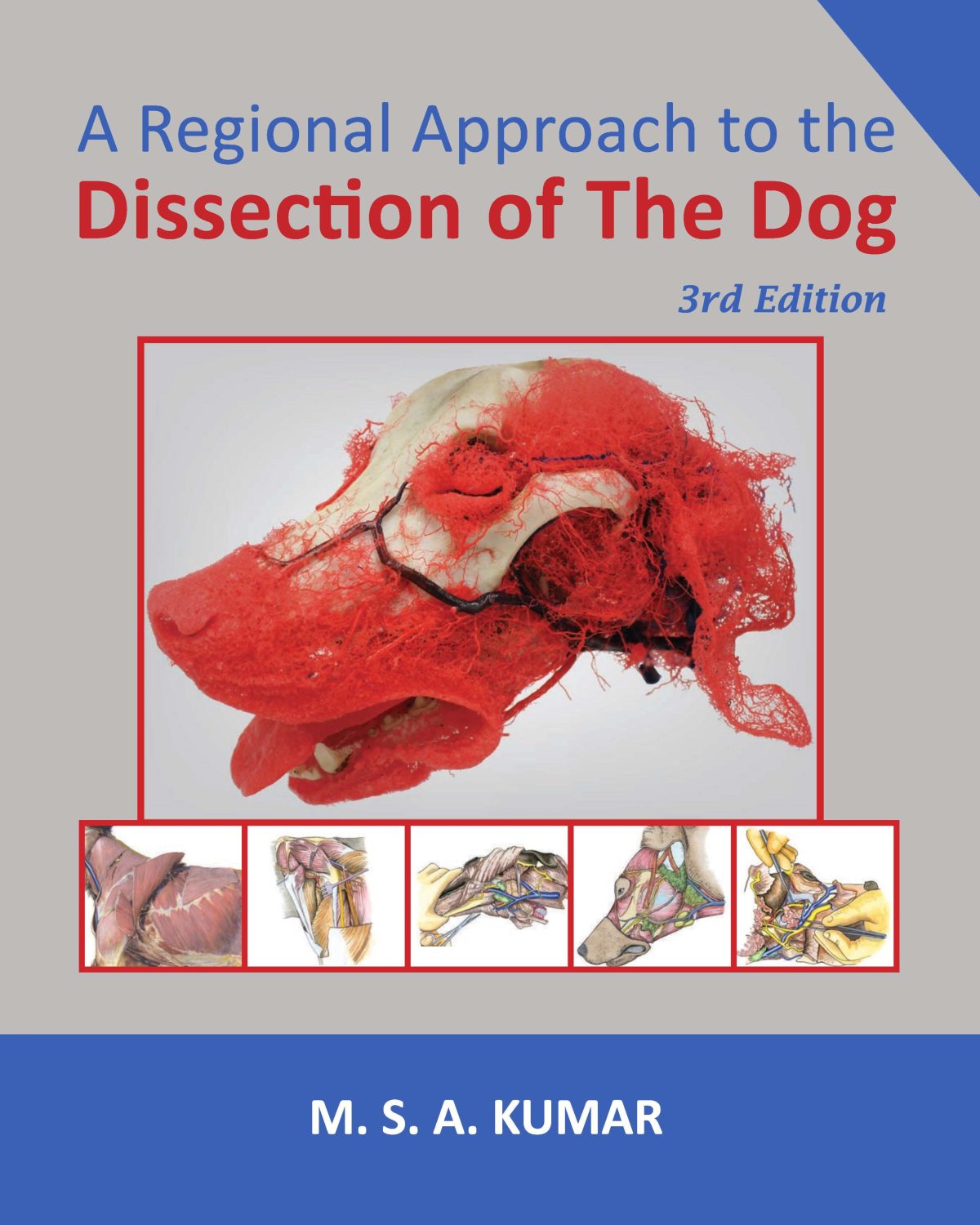 A Regional Approach to the Dissection of the Dog - 3rd Edition - Image 1