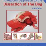 A Regional Approach to the Dissection of the Dog - 3rd Edition
