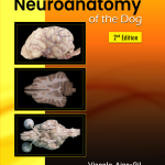 Neuroanatomy of the dog - Second Edition